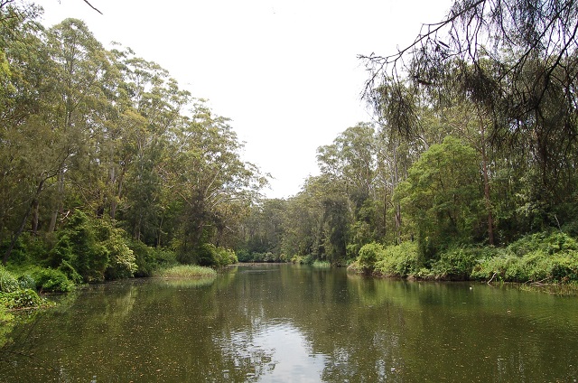 Lane_Cove_River-640.jpg